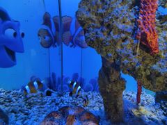 -横店影视城梦幻谷园区