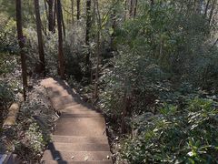 -顺峰山公园