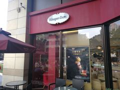 门面-哈根达斯(龙湖时代天街店)