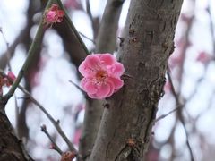 -南京市江宁方山