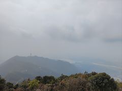 -梧桐山风景名胜区