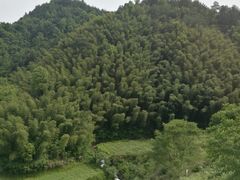 -灵山景区梯田
