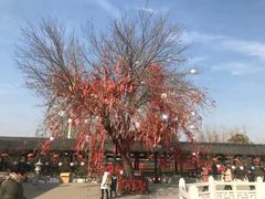 -祥源·阜阳生态乐园