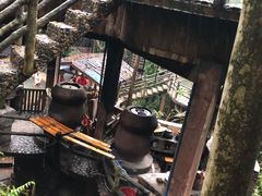 -天门沟九州驿站树上汤泉