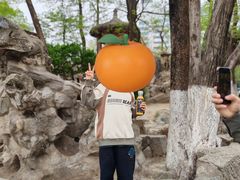 -莲湖公园