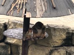 -上方山森林动物世界