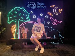 -夜间野生动物园