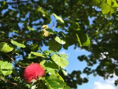 -白沙门生态公园