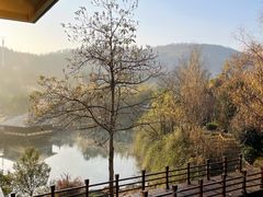 -咸宁万豪温泉谷度假区