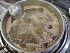 -鸽鸟轩(石岐店)