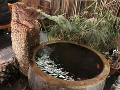 -三道苗苗鱼·美蛙黄辣丁(八里店)