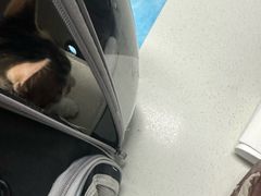 -达爱动物医院·犬猫分区·CT·复杂眼科(远洋山水分院)