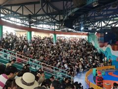 -海合安武汉极地海洋公园