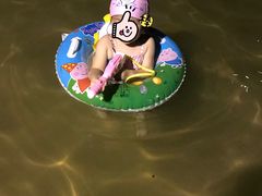 -张家港金凤凰度假村温泉