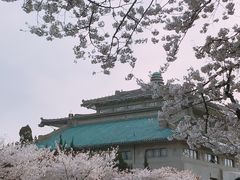 -武汉大学-樱园