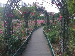 -金鸡湖景区
