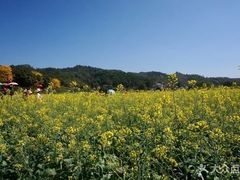 -红山村