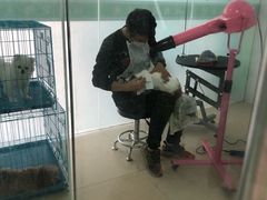 -圣宠动物医院·犬猫专科·影像中心·外科中心