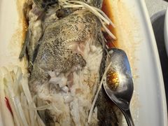 -绿波廊(豫园店)