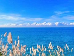 -桃花岛风景旅游区
