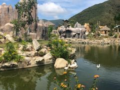 -芽庄珍珠岛游乐园