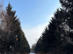 -长春市南湖公园