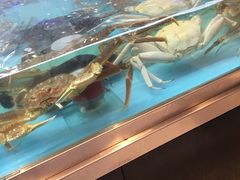 -盒马鲜生(宝地店)