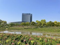 -春花秋色城市公园