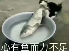 -小艺烧烤(曲江店)