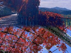 -北京金海湖景区