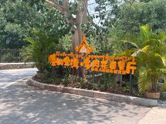 -傣泐金湾餐厅