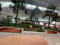-青岛胶东国际机场