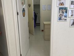 -瑞派康怡24h宠物医院·犬猫医疗中心·微创绝育(瑞景分院)