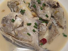 时鲜杂鱼-杨记海鲜楼