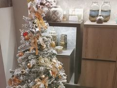 -Dragonfly 悠庭·按摩Spa(苏州中心广场店)