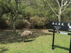 -杭州野生动物世界