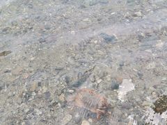 -海窝子古镇