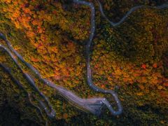-光雾山旅游景区