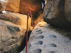 -鲁山国家森林公园