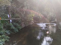-重庆彩云湖湿地公园