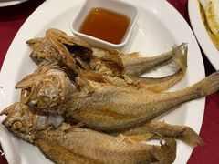 -老吉士酒家(天平路店)