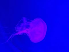 -沈阳海洋探索中心