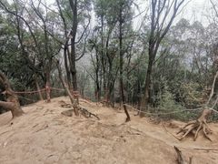 -灵岩山风景区