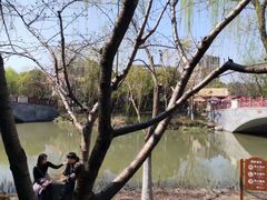 -自然谷恐龙园