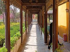 -海天禅寺