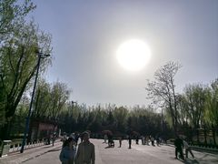 -森林公园(尖草坪区)