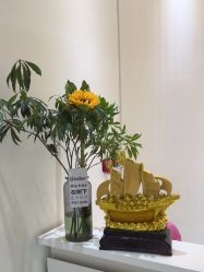 -郡艺医疗美容·微整·眼鼻吸脂