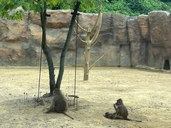 -杭州野生动物世界