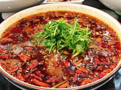 香辣黑毛肚-八张桌子(老店)