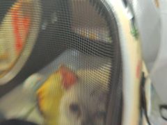 -宠颐生宠物医院外科·内科·皮肤科·影像科(石龙店)